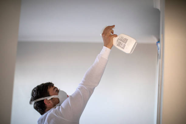 Best Residential Mold Remediation in K I Sawyer, MI