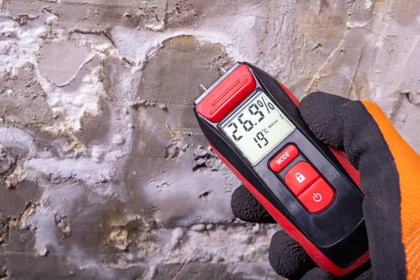 Best Attic Mold Remediation in K I Sawyer, MI
