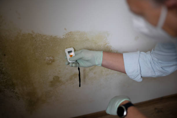Best Health and Safety Mold Remediation in K I Sawyer, MI